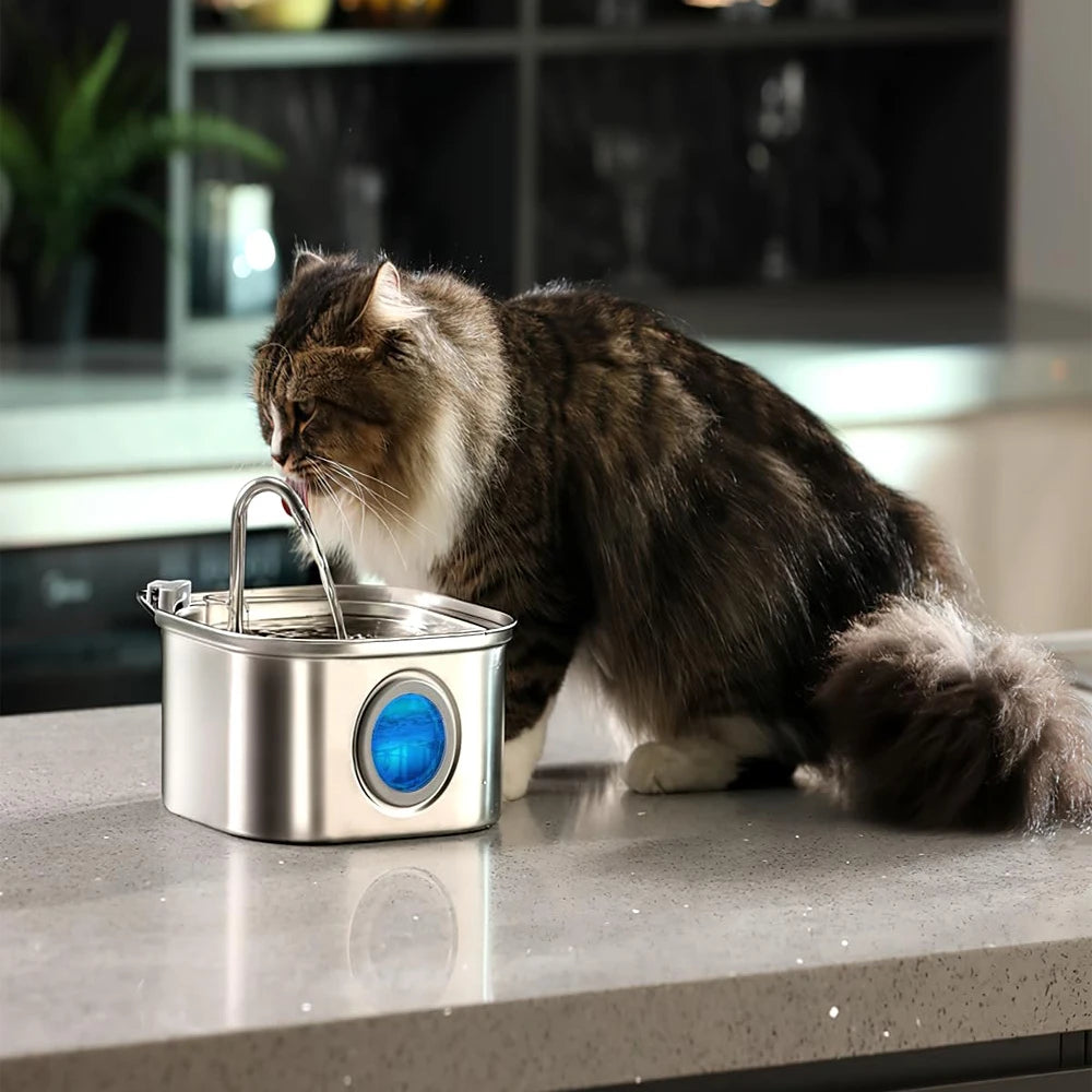 Give Your Cat Years More Healthy Life With PurrFlow™