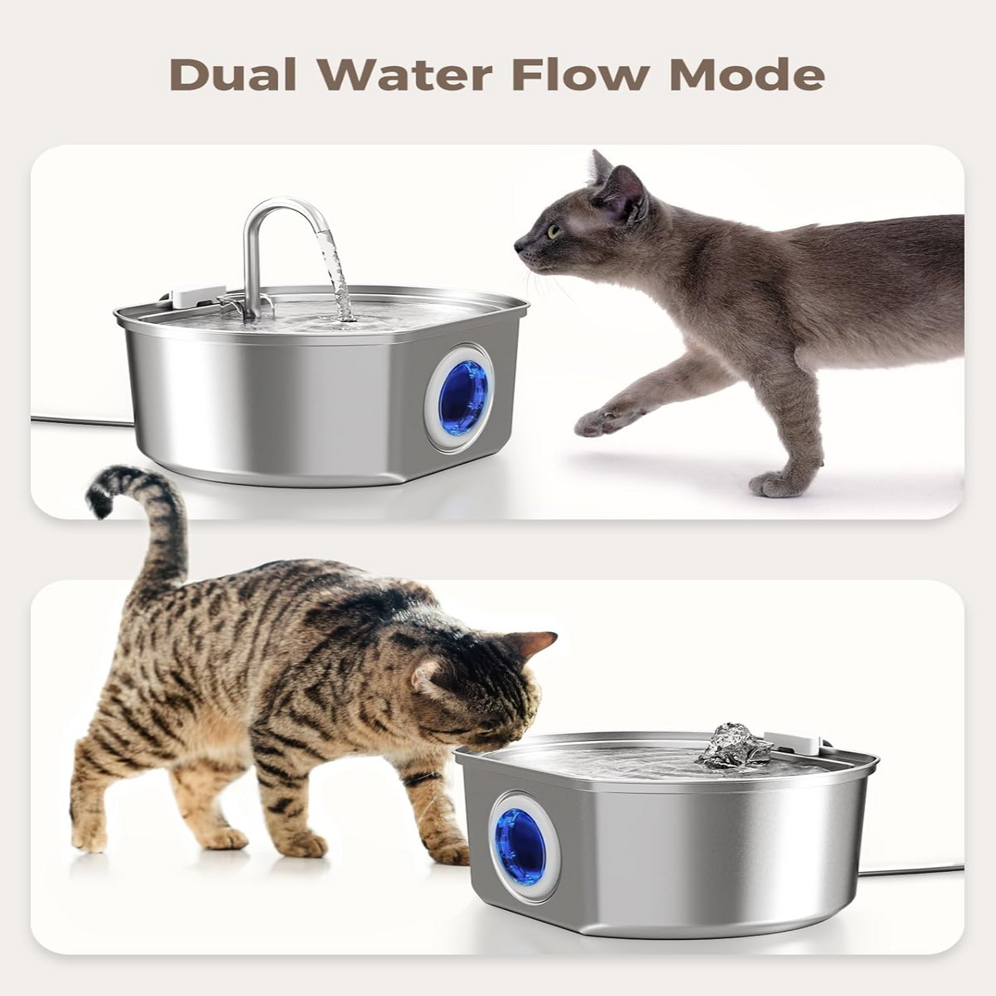 Give Your Cat Years More Healthy Life With PurrFlow™
