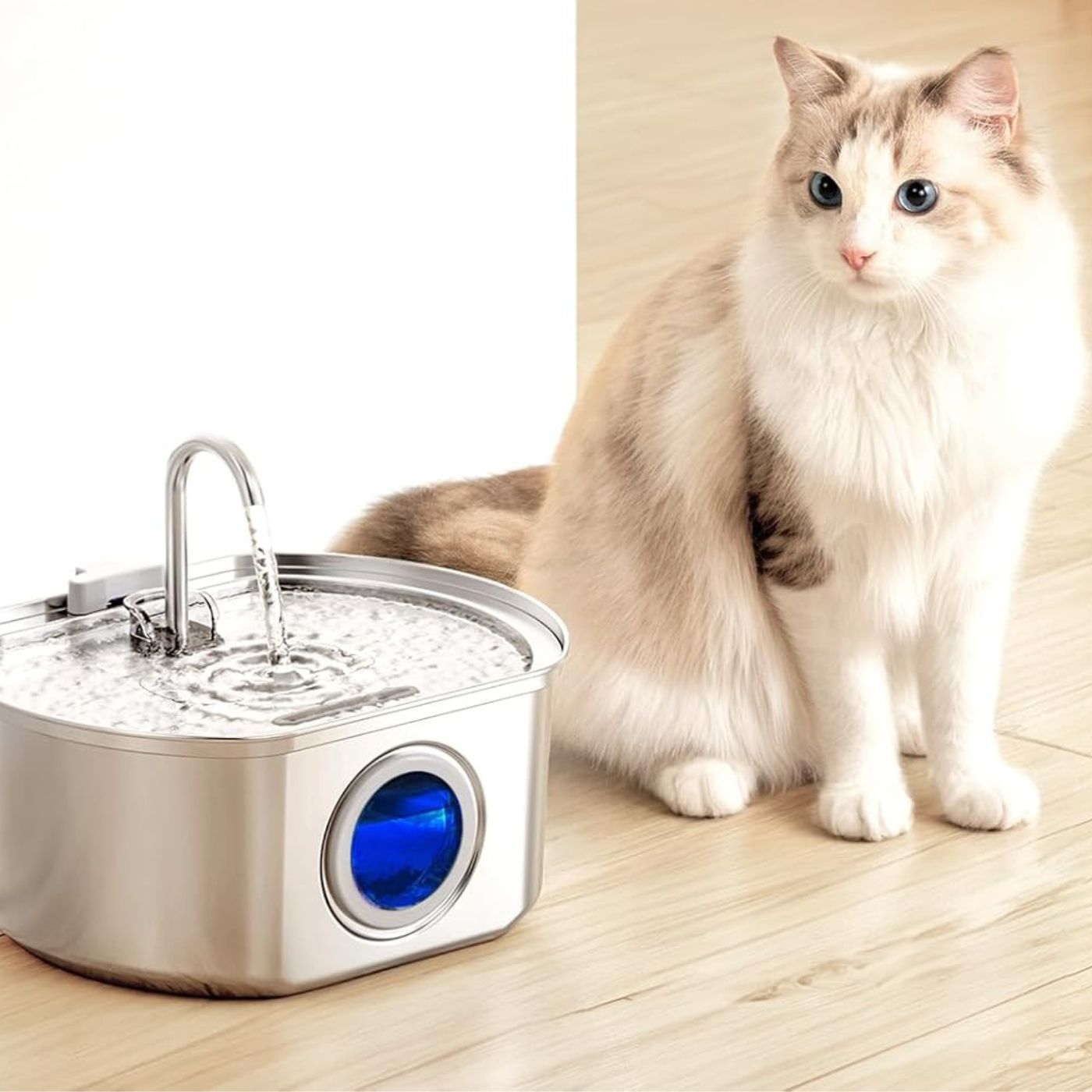 Give Your Cat Years More Healthy Life With PurrFlow™