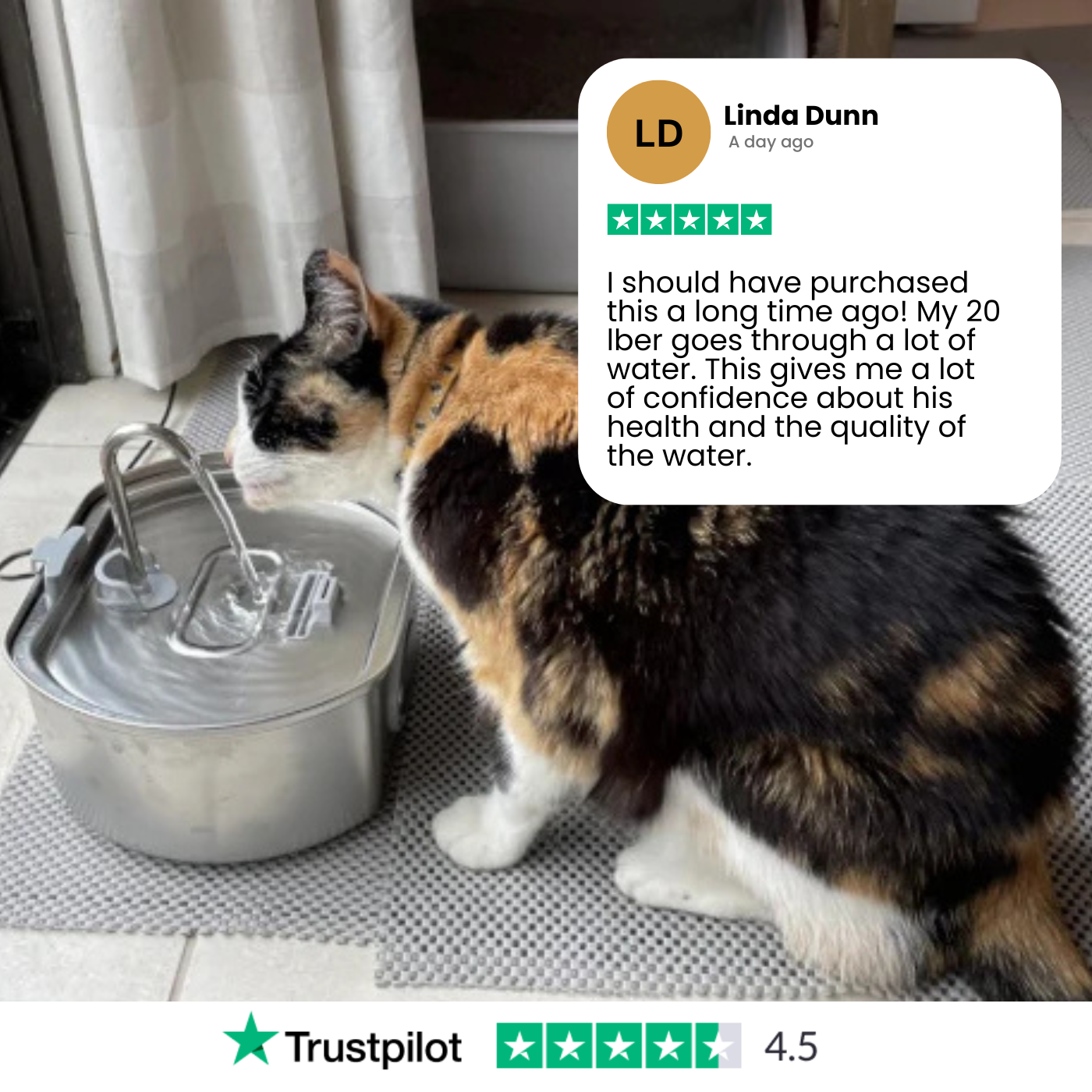 Give Your Cat Years More Healthy Life With PurrFlow™