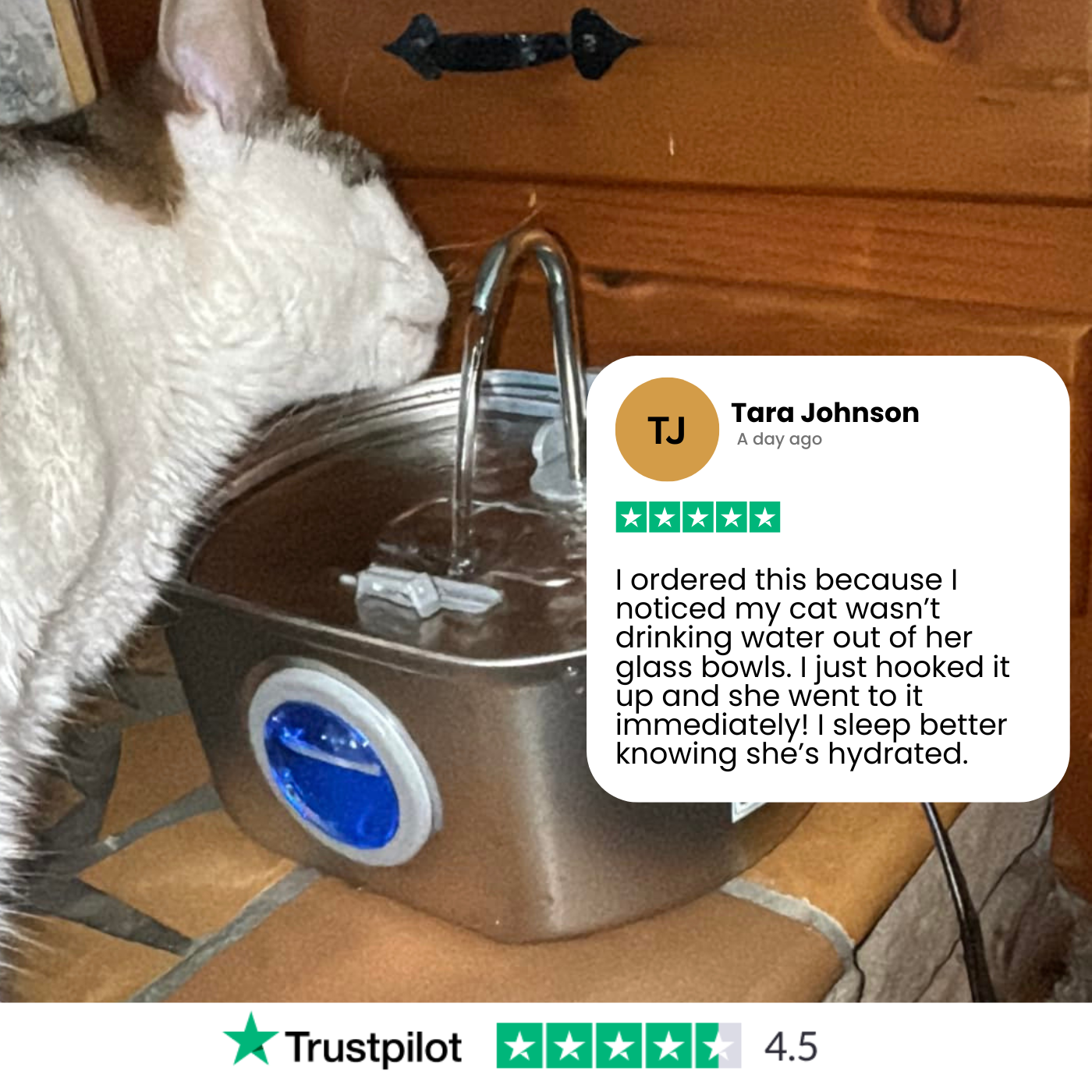 Give Your Cat Years More Healthy Life With PurrFlow™