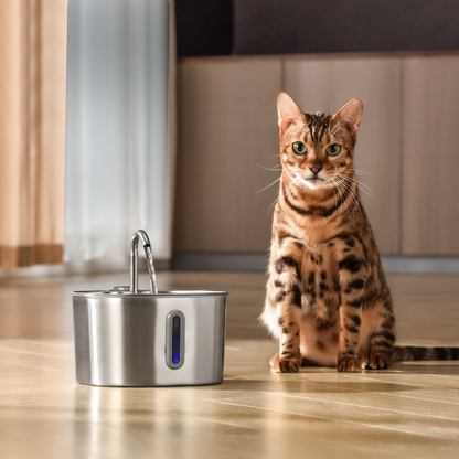 Give Your Cat the Gift of More Healthy Years With Purrflow