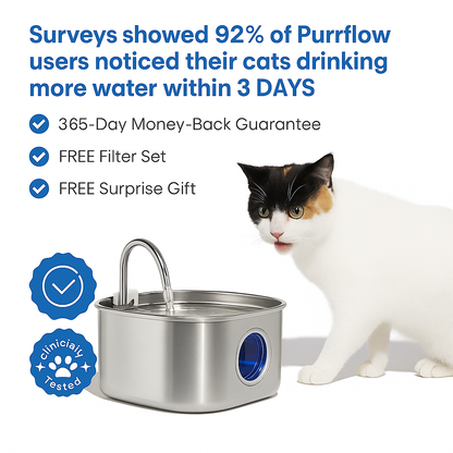 Give Your Cat Years More Healthy Life With PurrFlow™