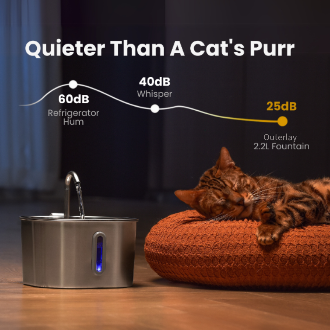 Healthier Cat, Longer Life, One Sip at a Time