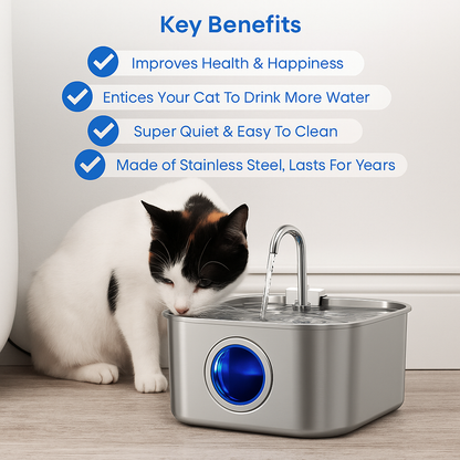 Give Your Cat Years More Healthy Life With PurrFlow™