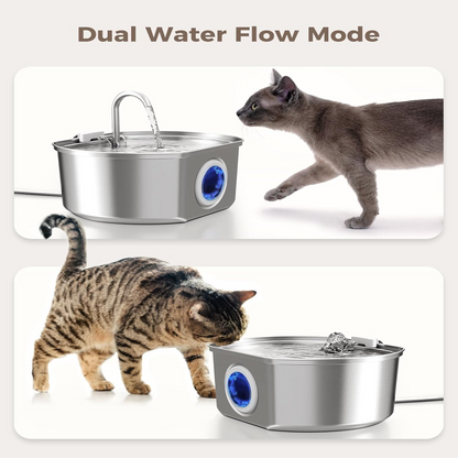 Give Your Cat Years More Healthy Life With PurrFlow™