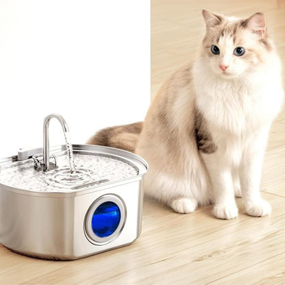 Give Your Cat Years More Healthy Life With PurrFlow™