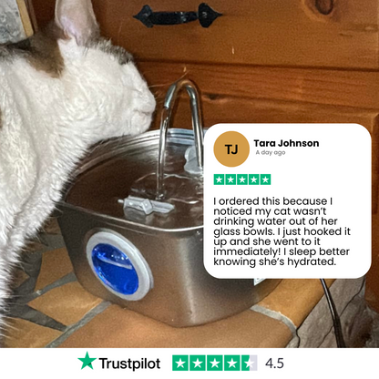 Give Your Cat Years More Healthy Life With PurrFlow™